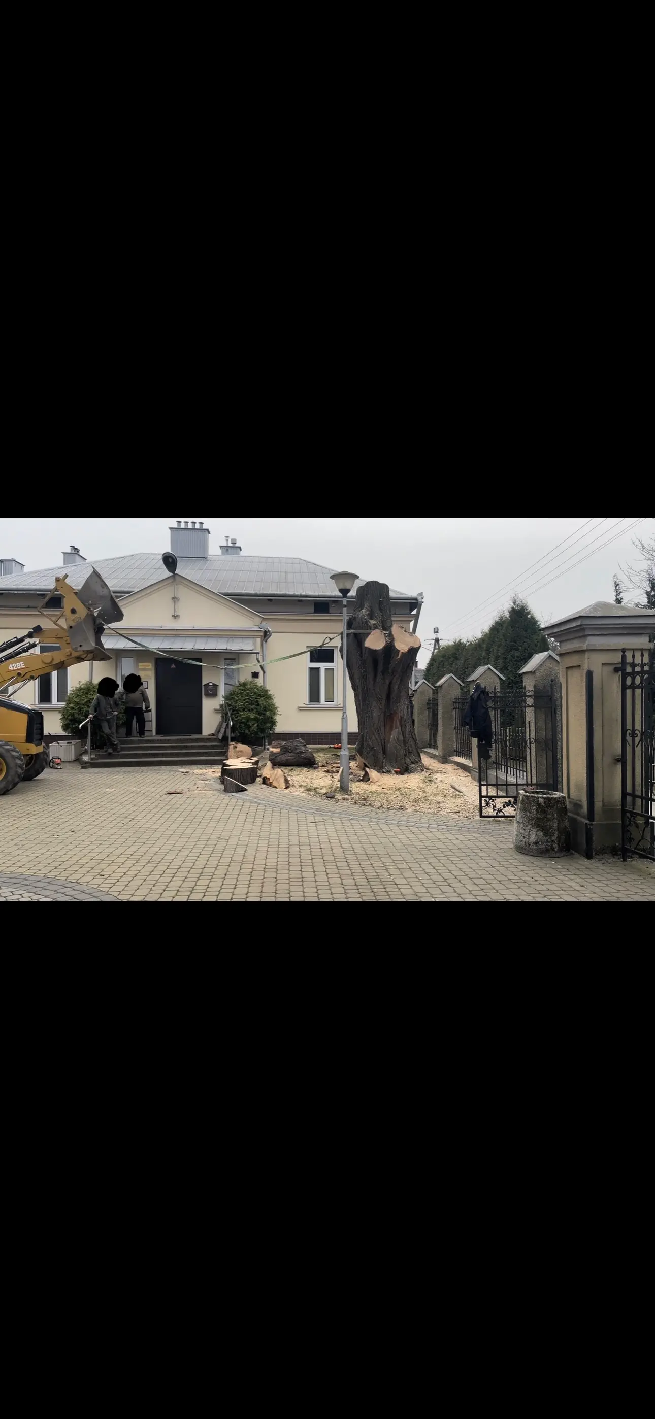 Usuwanie drzewa przy budynku Rzeszów – wycinka i uprzątnięcie terenu, Pan Drzewko 695 825 102